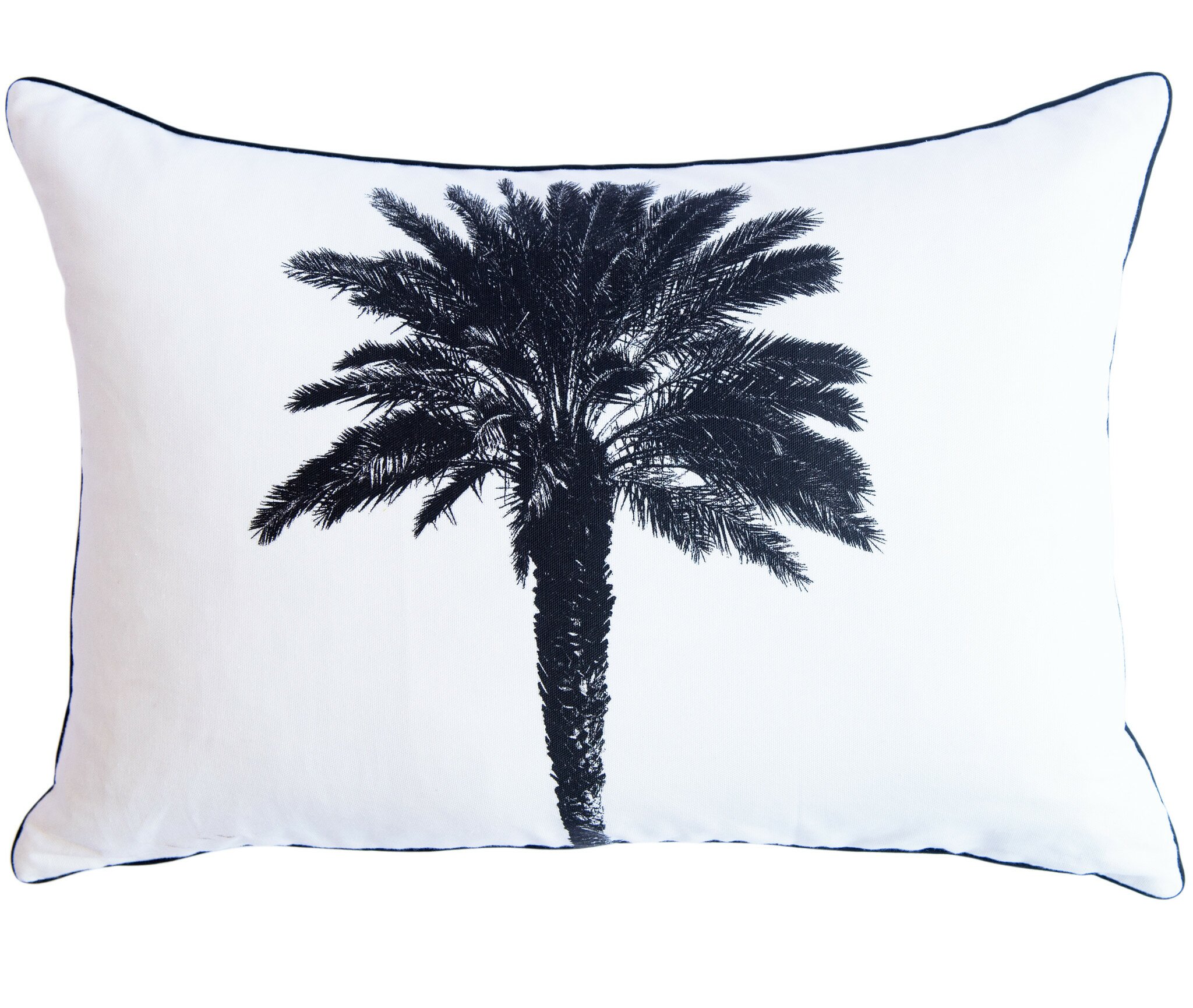 Palm_Tree_40x60_Scatter